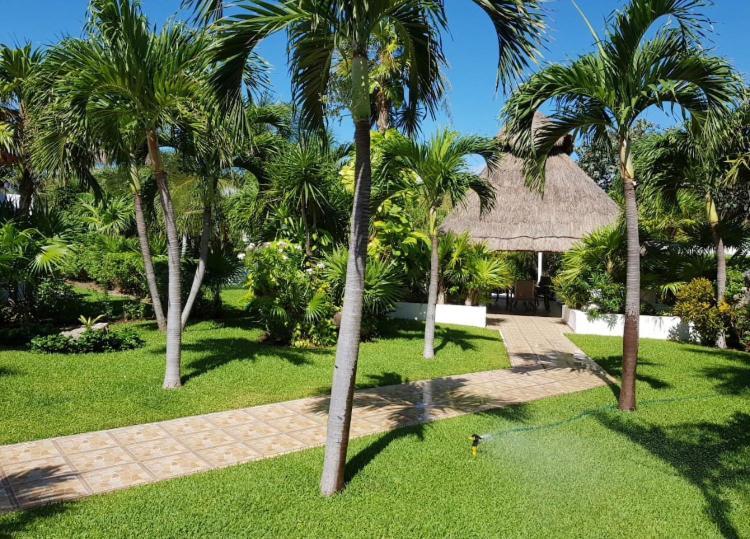 Large House - Walking To Beach - 10 Guests! Cancun Exterior photo